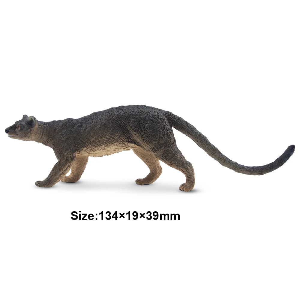 Toymany Simulation Fossa Madag - Kids Toys Under $5 评论和价格