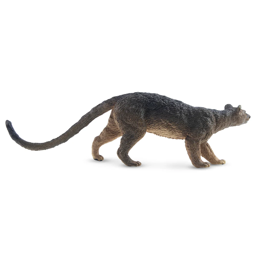 Toymany Simulation Fossa Madag - Kids Toys Under $5 评论和价格