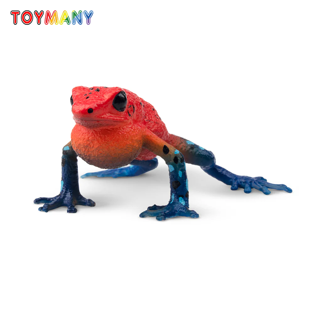 Toymany Simulation Strawberry  - Kids Toys Under $5 评论和价格