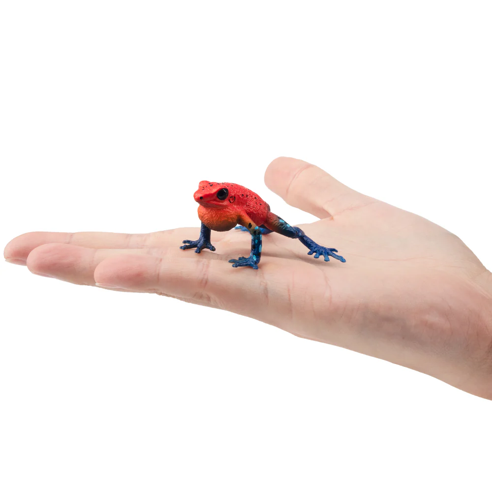 Toymany Simulation Strawberry  - Kids Toys Under $5 评论和价格