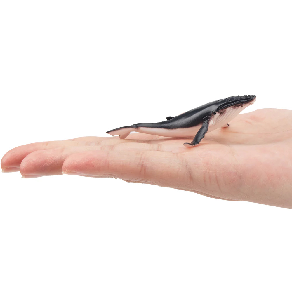 Toymany Simulation Humpback Wh - Kids Toys Under $5 评论和价格