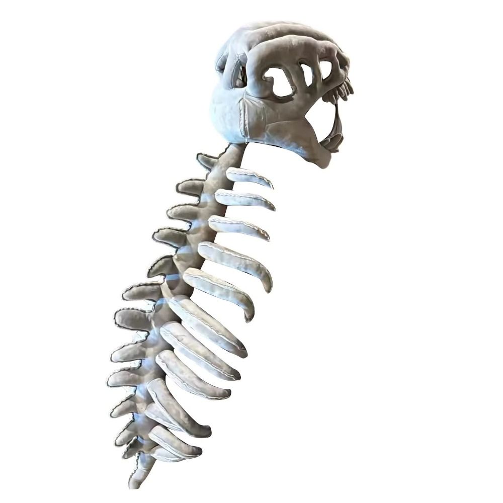3D Dinosaur Skeleton Toys Funn - Dinosaur Figurine Set 评论和价格