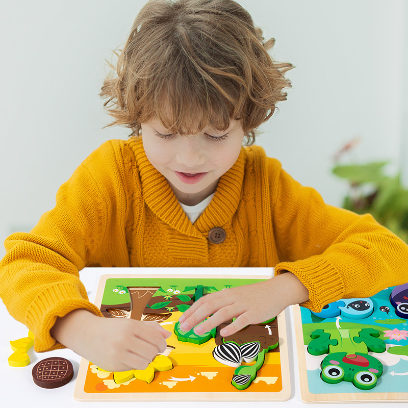 Baby Toy Wooden 3D Puzzle Toys - Kids Toys Cycle 评论和价格