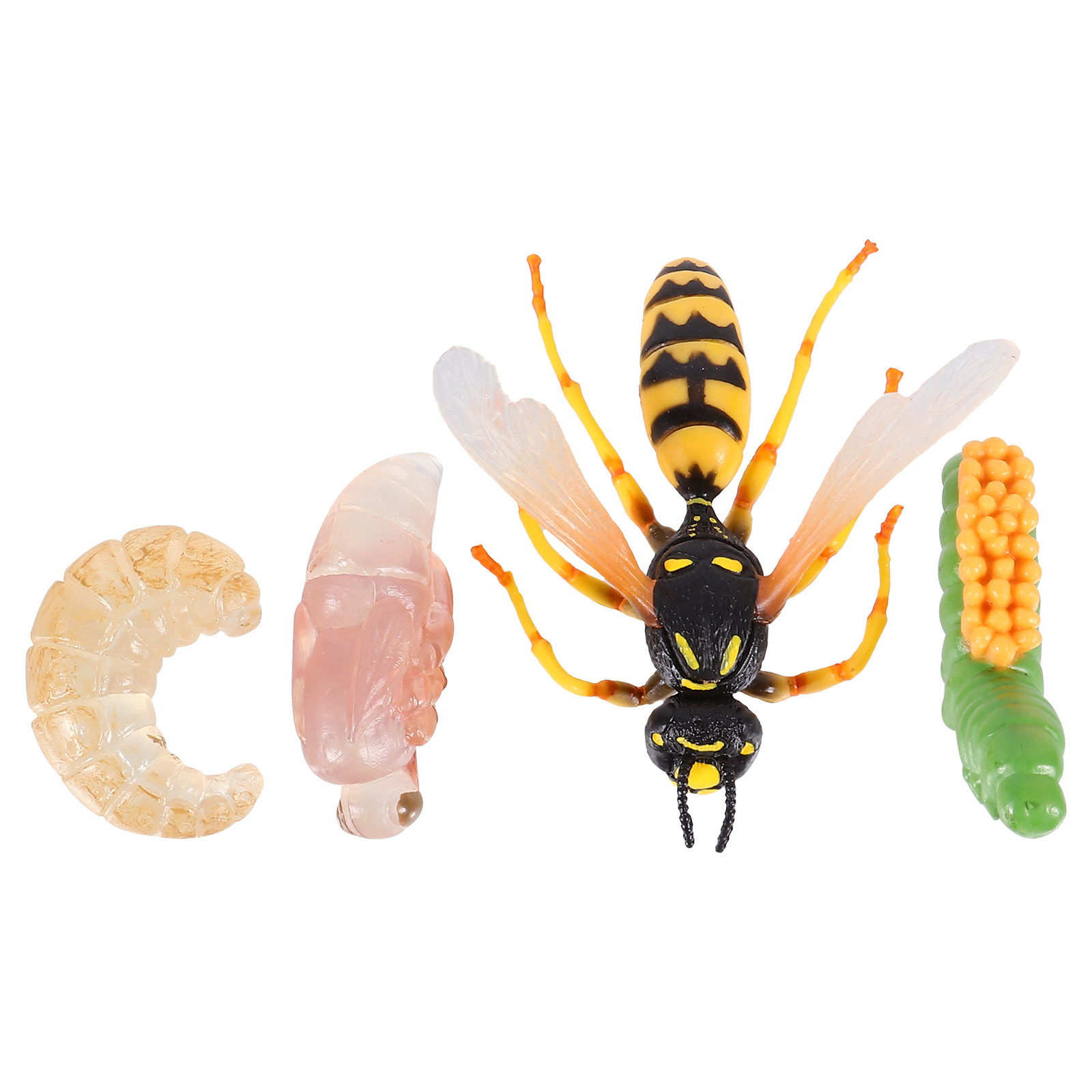 Kids Toys Insect Figure for Re - Kids Toys Cycle 评论和价格